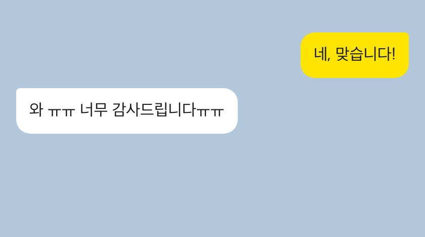 비행기도우미 성공 후기