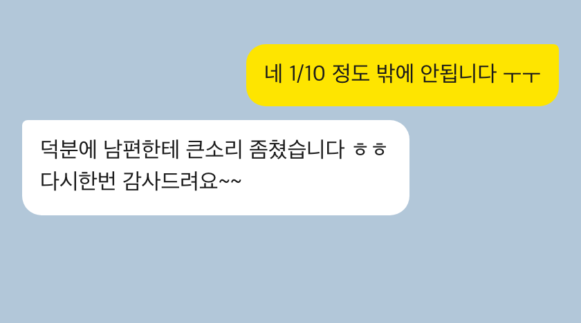 비행기도우미 성공 후기